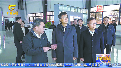 自治區黨委書記陳剛到柳工調研