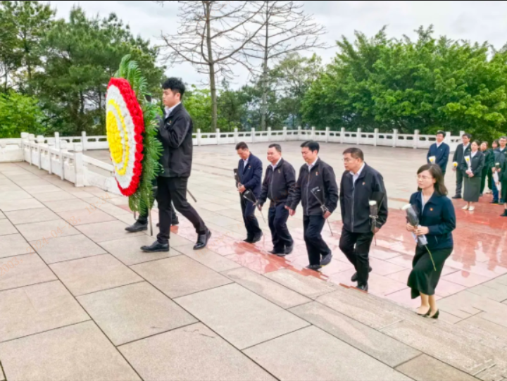 集團機關黨支部開展“緬懷革命先烈，弘揚民族精神”清明祭掃主題黨日活動